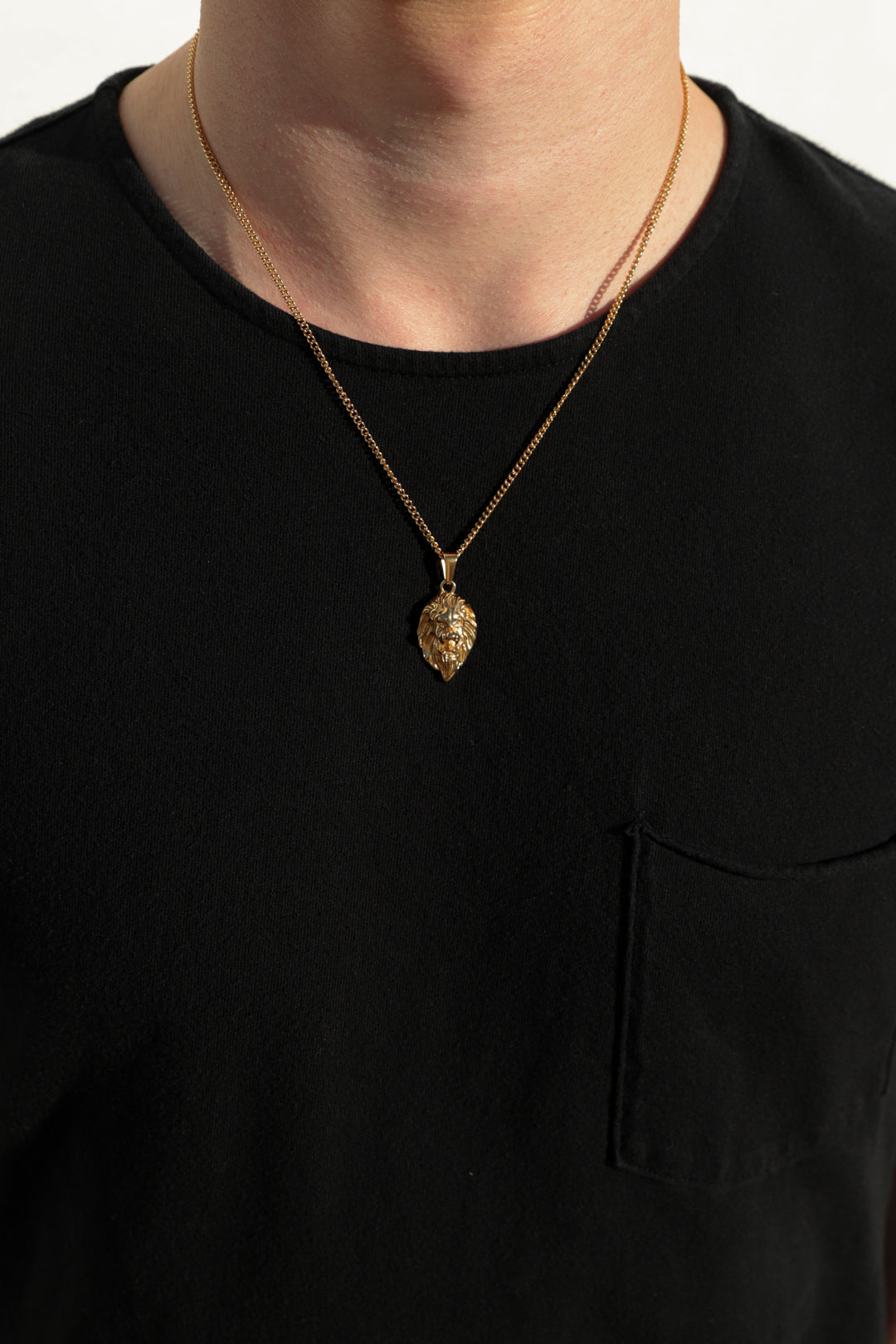 lion pendant necklace (6883386032294)