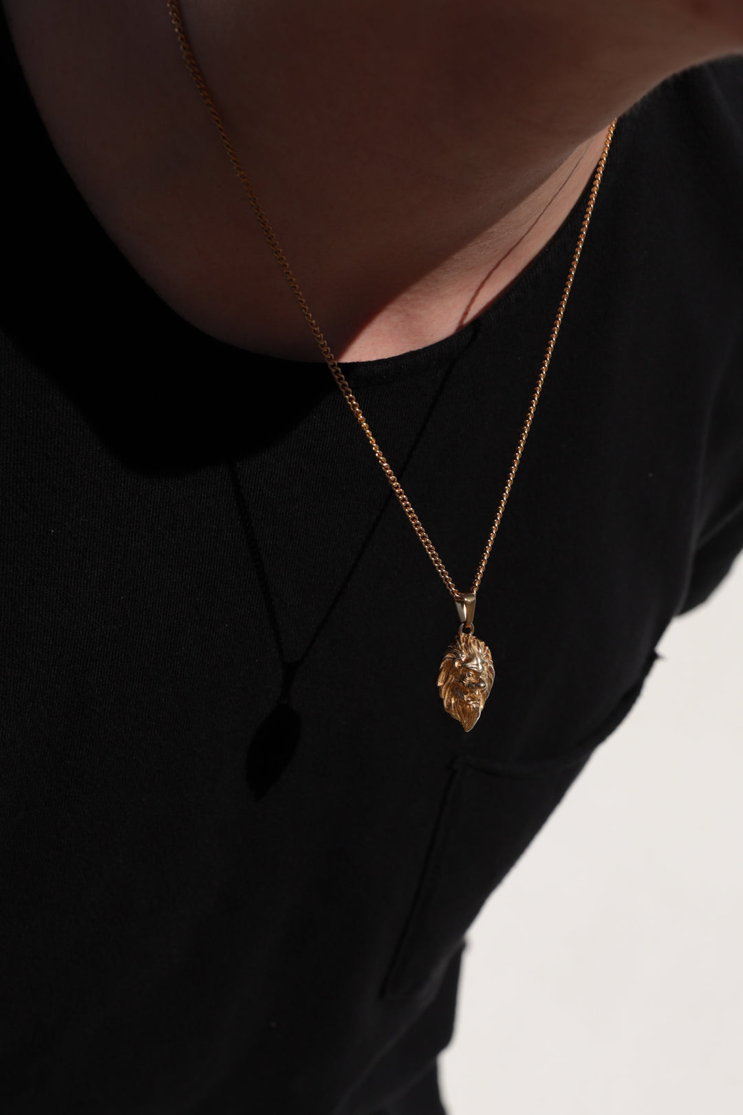 lion pendant necklace (6883386032294)